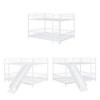 Grungis Full Over Full Loft Bed with Slide and Guardrails,Modern Metal Bunk Bed with Convenient Gate,Loft and Bunk Bed for Bedroom - 4 of 4