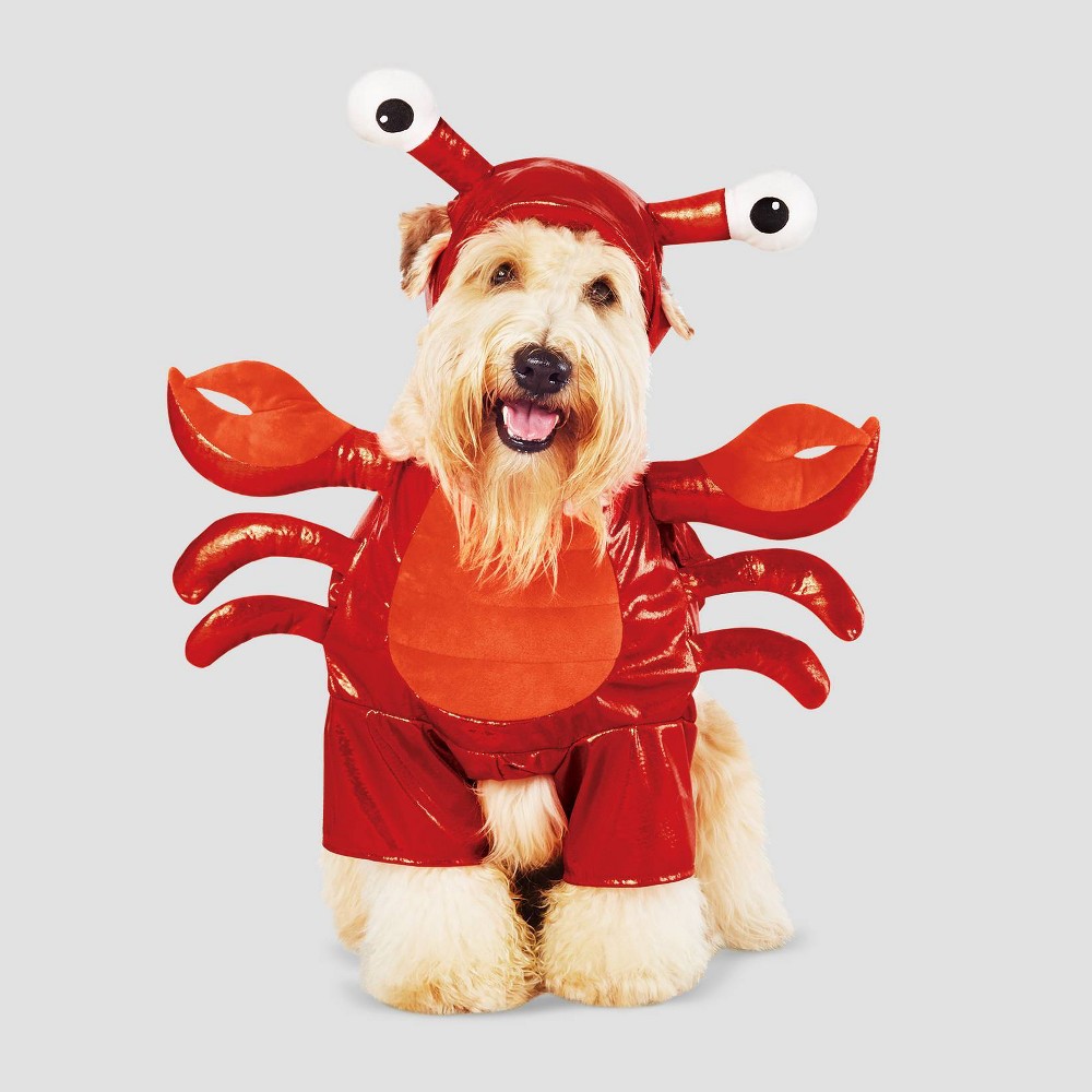 size XL. Halloween Lobster Frontal Dog Costume- Hyde & EEK! Boutique