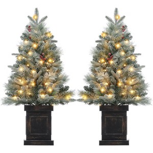 3Ft Pre-Lit Artificial Christmas Tree,Snow Flocked Xmas Frost Trees Decoration for Home,Small Spaces,Lighting Base,Battery Operated Time - 1 of 4