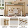 Twin Loft Bed with Adjustable Ladder,Full Safety Guardrail,Loft Bed Twin Heavy-Duty Metal Frame 400Lbs Weight Capacity,No Box Spring Needed,Noise Free - 4 of 4