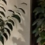 gray cushion/gray wicker