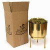 Van Zyverden Preplanted Amaryllis Bulb Double Dragon with Brass Finish Iron Bulb Planter and Stand - 3 of 4