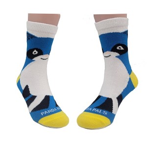 Blue Raccoon Socks (Ages 3-5) from the Sock Panda - 1 of 4