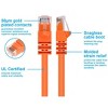 Monoprice Cat6 Ethernet Patch Cable - 1 Feet - Orange | Network Internet Cord - RJ45, Stranded, 550Mhz, UTP, Pure Bare Copper Wire, 24AWG - 3 of 4
