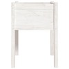 vidaXL Garden Planter White 50x50x70 cm Solid Pinewood - 4 of 4