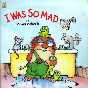 I Was So Mad - (Look-Look) by  Ron Miller (Paperback)