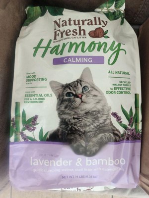 Guest review image 2 of 2, zoom in