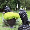 Emsco 2pk Guardian Lion Outdoor Animal Statue - Black - 3 of 3