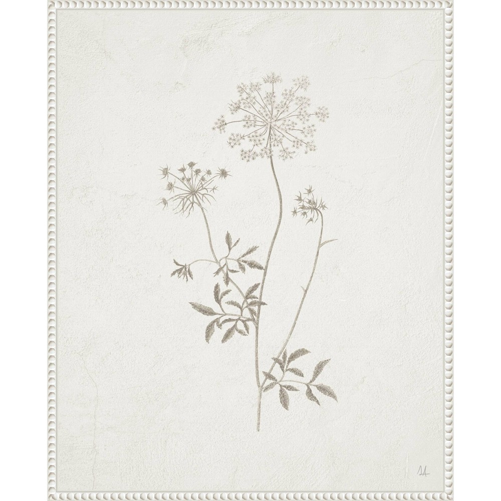 Photos - Other Decoration Amanti Art 23"x28" Plants from The Meadow III by Sarah Adams Framed Canvas Wall Art Print: Hand-Stretched, Madison WI, Moder