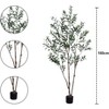 Faux Olive Tree 6ft, Lush Artificial Olive Tree for Indoor with Natural Wood Trunk & Lifelike Fruits, Silk Tall Fake Olive Tree for Home Decor - 2 of 4
