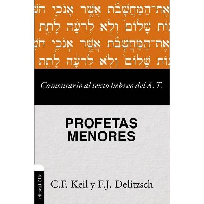 Comentario Al Texto Hebreo del Antiguo Testamento - Profetas Menores - by  Carl Friedrich Keil & Franz Julius Delitzsch (Paperback)