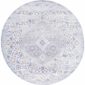 Hauteloom Agaton Living Room, Bedroom Machine Washable Area Rug - Traditional - 1 of 4