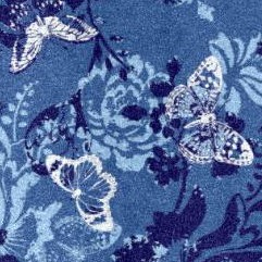 blue butterfly bloom
