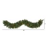 Nearly Natural 6-ft White Mountain Pine Artificial Garland with 35 White Warm LED Lights and Pinecones - 2 of 2