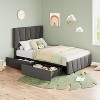 Twin Size Bed Frame with Adjustable Headboard and 2 Storage Drawers, Velvet Upholstered Tufted Platform Bed Frames with Wooden Slats Support, Beige - 4 of 4