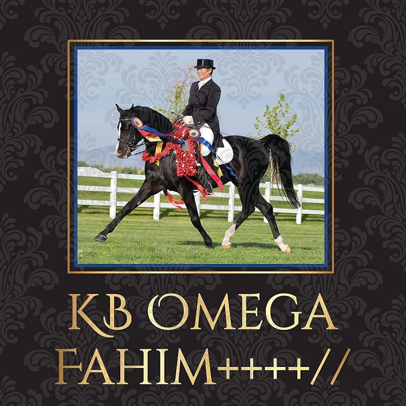 Breyer Animal Creations Breyer Traditional 1:9 Scale Model Horse | KB Omega Fahim, 3 of 4