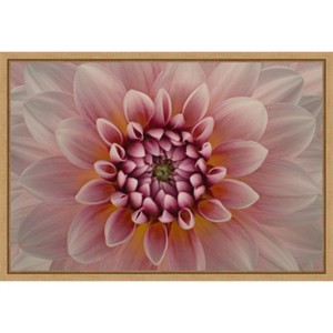 Amanti Art Blush by Richard Urbanski Framed Canvas Wall Art - 1 of 4