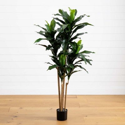 5-Foot Green Plastic Dracaena Plant with Lights