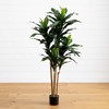 Nearly Natural 5-ft Dracaena Plant UV Resistant (Indoor/Outdoor) - 2 of 4