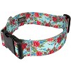 Country Brook Petz HossFit Jr Wide Deluxe Dog Collar - Floral Collection - 2 of 4