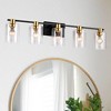 VYNXARIA 5-Light Wall Lights, Matte Black + Gold Vanity Fixture with Glass Shades for Bathroom and Kitchen - 2 of 4