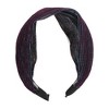Unique Bargains Women's Shiny Silk Lace Headband 1 Pc - 3 of 4