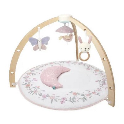 aden + anais Play+Discover Activity Gym
