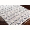 Mark & Day Oyonnax Woven Indoor Area Rugs - 4 of 4