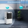 Kesnos 232 Pint Large Capacity Industrial Commercial Smart Dehumidifier, Bucketless, for 8000 sq ft - 3 of 4