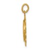 Black Bow Jewelry 14k Yellow Gold Filigree Miraculous Medal Pendant, 19mm (3/4 Inch) - 2 of 4