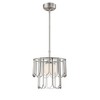 Craftmade Lighting 1 - Light Pendant in  Brushed Polished Nickel - 3 of 4