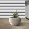 Rosemead Home & Garden Concrete Outdoor Planter Pot Beige 19.7"x19.7"x13" - 4 of 4