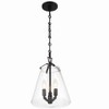 Crystorama Lighting Voss 3 - Light Chandelier in  Matte Black - 4 of 4