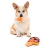BARK Summer Big Shake Lake Chilli Pupper Barkitos Dog Plush Toy - 3pc - 4 of 4
