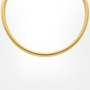 Adornia 14k Gold Plated Omega Chain - 4 of 4
