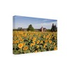22" x 32" Sunflowers And Barn Owosso Mi by Monte Nagler - Trademark Fine Art: Canvas Wall Pictures, Digital Landscape Art - 2 of 4