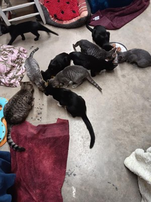 Guest review image 1 of 1, zoom in