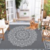 coucheta Outdoor Plastic Straw Rug, Waterproof Reversible Floor Mat, Medallion Outside Patio Rug, Stain-Resistant for Porch, Deck, Balcony, Beach - 2 of 4