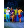 HalloweenCostumes.com Small  Men  Classic Scooby Doo Shaggy Costume for Men,  Green/Brown - 4 of 4
