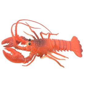 Collectible Wildlife Gifts | Lobster, Squeaks and Squirts Water, Rubber Crustaceans, Educational, Model,  Gift,    12"   With Antenna    F1461 B212 - 1 of 4