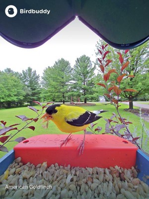Guest review image 4 of 6, zoom in