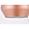 Elegant Lighting Kenneth 1-Light Honey Gold Pendant with Clear Glass Globe - 4 of 4