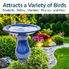 Sunnydaze Daisy Embossed Bowl Ceramic Bird Bath with Glazed Finish - Blue - 21.5" H - 4 of 4