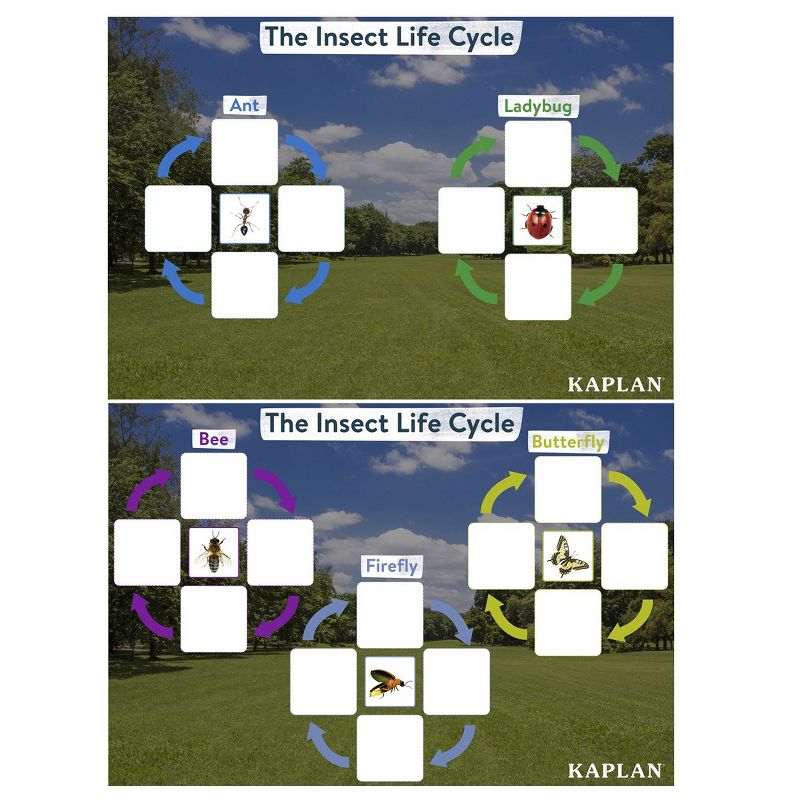 Kaplan Early Learning Insect Life Cycle Game - Investigate Bees, Ants, Butterfly and Firefly, 2 of 4