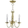 Livex Lighting Williamsburgh 3 - Light Chandelier in  Polished Brass - 4 of 4