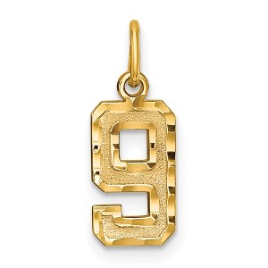 Black Bow Jewelry 14k Yellow Gold, Varsity Collection, Small D/C Pendant Number 9 - 1 of 4