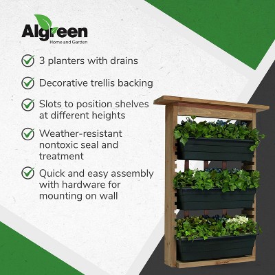 Gardenview Natural Wood Trellis with Black Planters