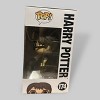 Funko Pop! Harry Potter with Birthday Cake Exclusive Figure #174 - 4 of 4