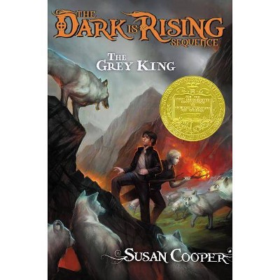 The Grey King, 4 - (Dark Is Rising Sequence) by  Susan Cooper (Hardcover)