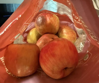 Guest review image 1 of 2, zoom in